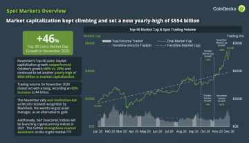 CoinGecko released its November 2020 Report