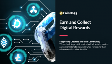 What You Need to Know About NFTs – CoinDogg