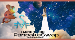 Successful Pre-Sale Leads StakeMoon to Officially Launch Coin on PancakeSwap