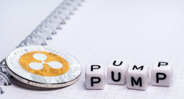 How do crypto pump and dump scams work?