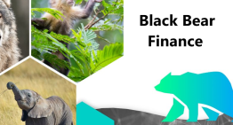 Black Bear Finance, the DeFi Protocol that Rewards Users to Support Conservation Efforts