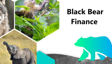 Black Bear Finance, the DeFi Protocol that Rewards Users to Support Conservation Efforts